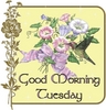 Good Morning Tuesday