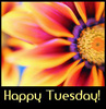 Happy Tuesday