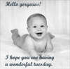 Wonderful Tuesday