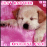 Just Another Innocent Face