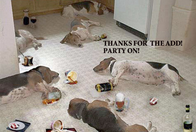dog party, thanks for the add! party on!
