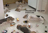 dog party, thanks for the add! party on!