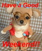 Have A Good Weekend. funny puppy
