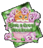 great weekend, cat , flowers
