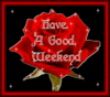 Good Weekend, red rose, black background
