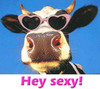 Hey Sexy