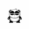 panda funny