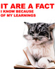 it are a fact