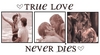 true love never dies