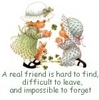 a real friend is hard to find, difficult to leave, and impossible to forget