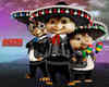 cinco de mayo