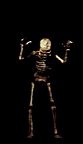 Bowing Skeleton