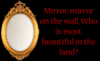 Mirror Mirror