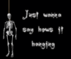 Hows It Hanging