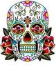 skull