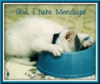 Monday