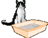 Kitty Litter Sand Castle