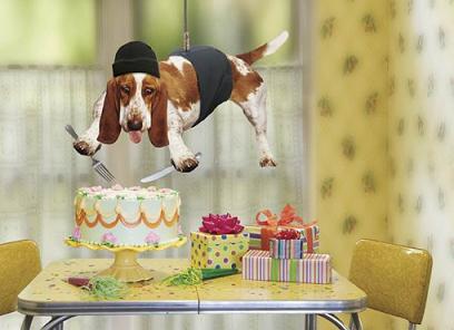 Beagle Impossible