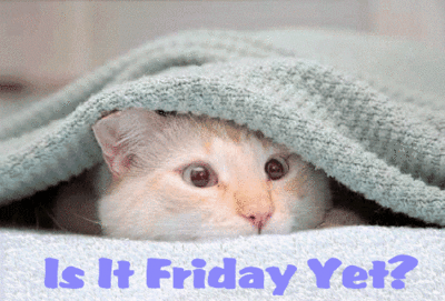 Friday