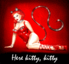 Here Kitty Kitty
