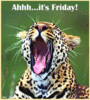 Friday