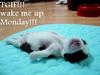 Friday
