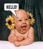 Hello