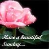 Sunday