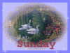 Sunday