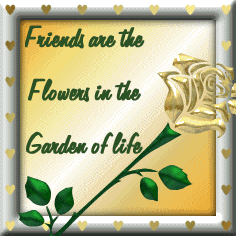 Friends