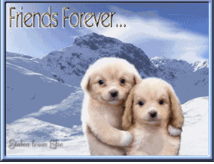 Friends