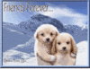 Friends