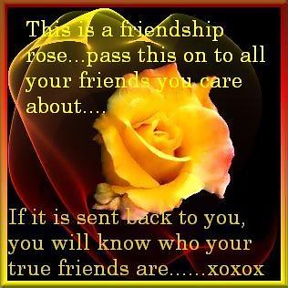 Friends