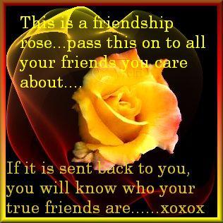 Friends