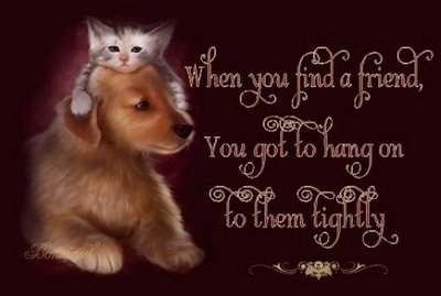 Friends