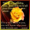 Friends