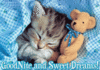 Good night