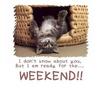 Good weekend