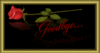 Goodbye