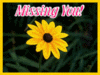 I miss you