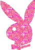 Playboy
