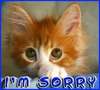 Sorry