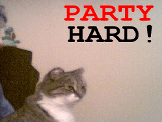 Party