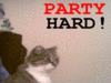 Party