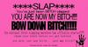 Insults