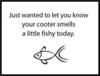 Insults
