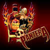 Band music pantera