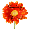 Thinking of you
