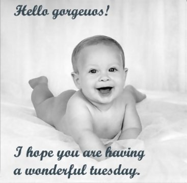 Tuesday