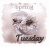 Tuesday